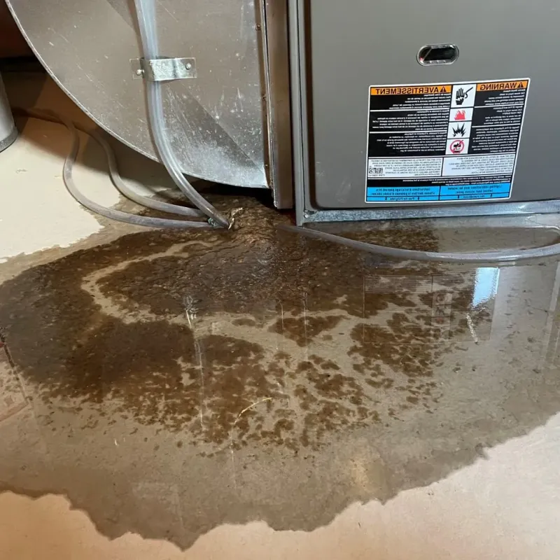 Pipe Burst and Leak Restoration in Ponca City, OK